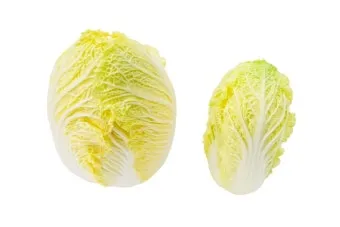 알배기 배추 물김치 담그는 법 및 보관 방법 총정리_4