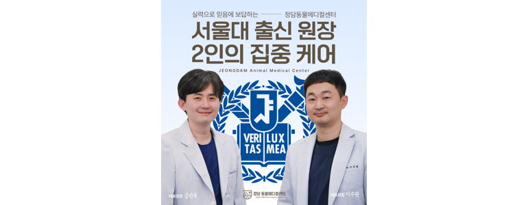 부천 소사구 동물병원