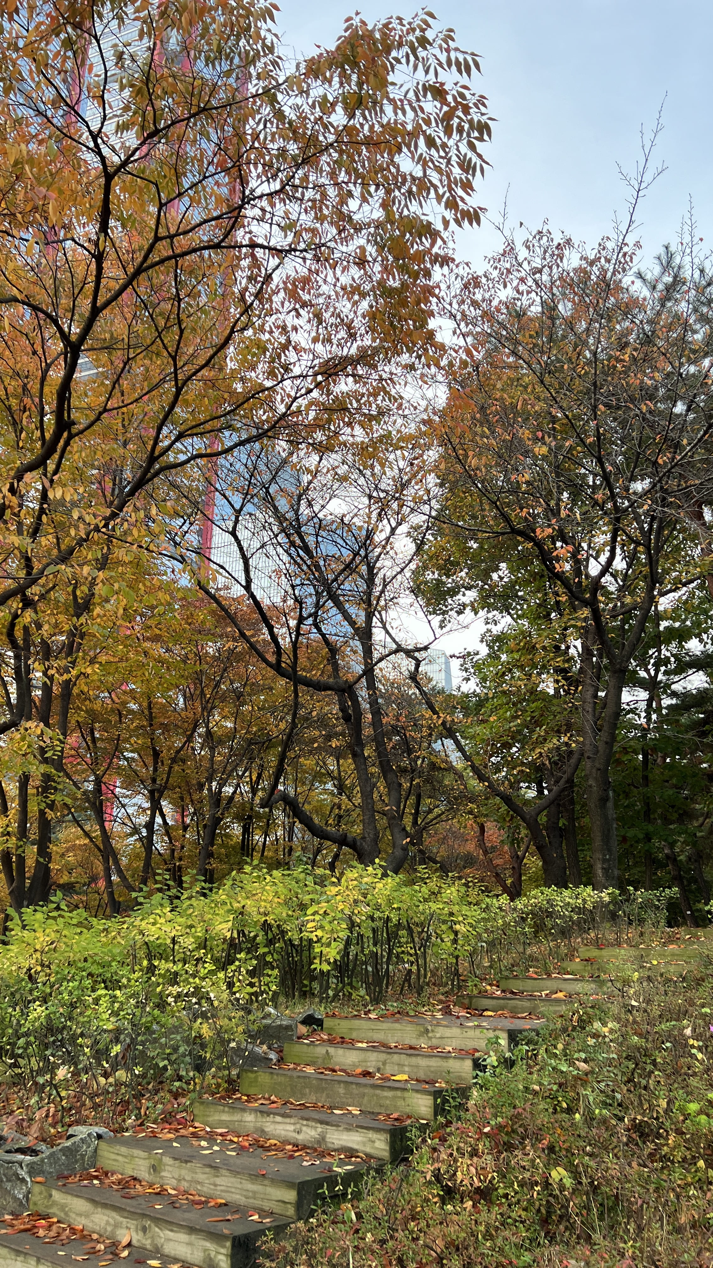 여의도 한강공원