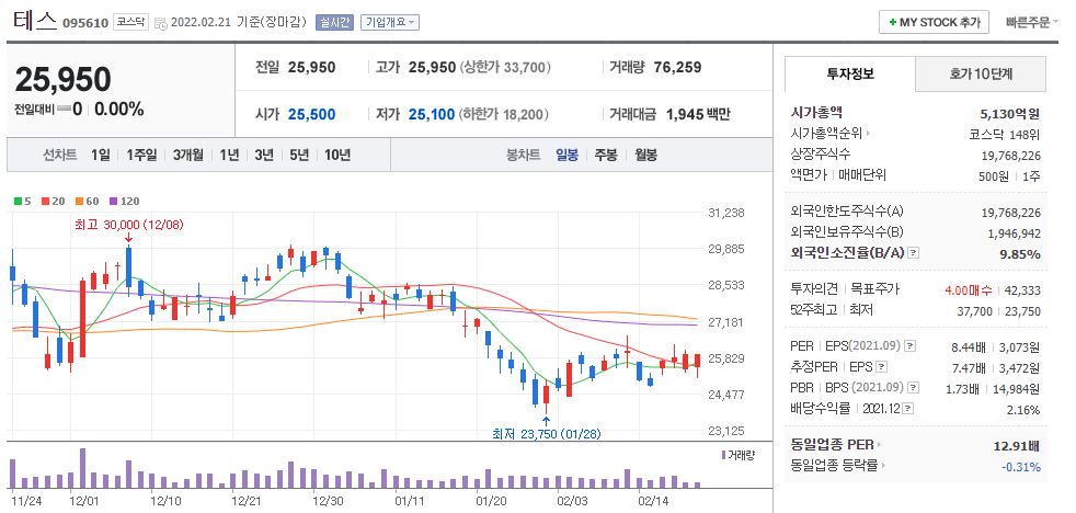 테스 차트(일봉)