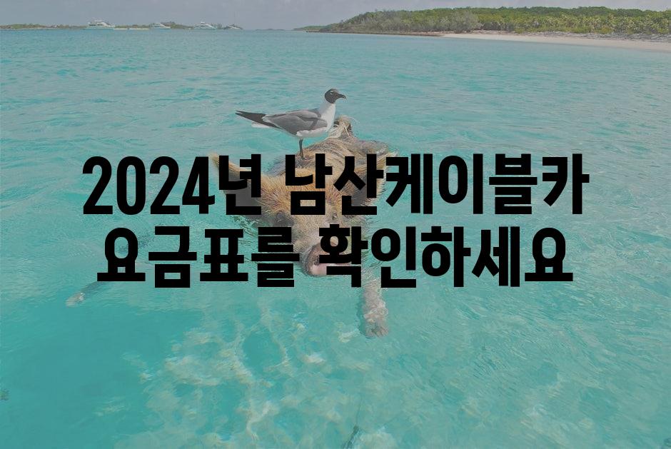 샘플 (1)
