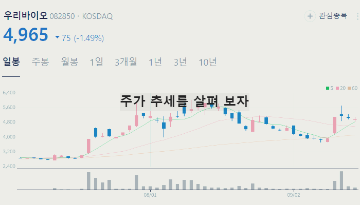 대마 마리화나 관련주 TOP7