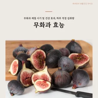 무화과 효능 칼로리 먹는 방법 수확시기 보관법_24