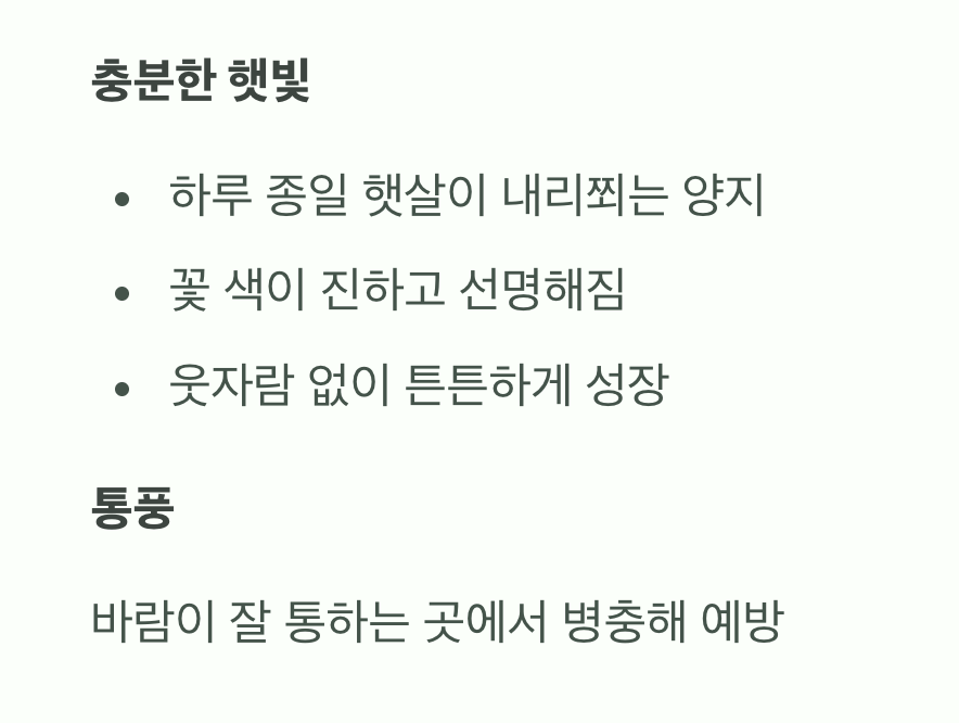 햇빛과 바람&amp;#44; 최고의 보약