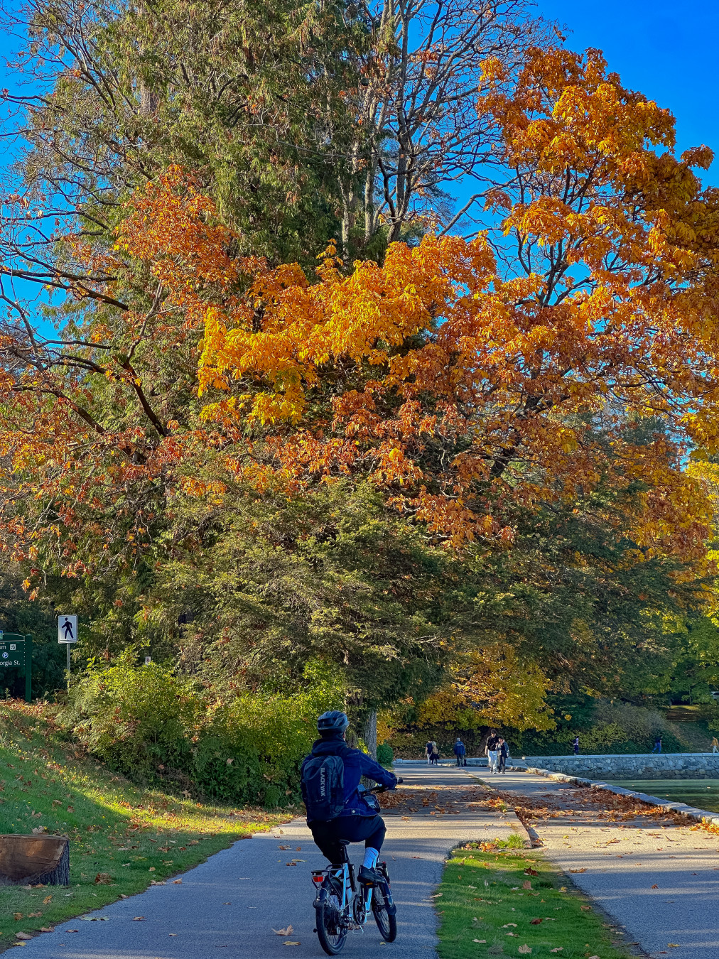 스탠리공원 조이자전거 캐나다