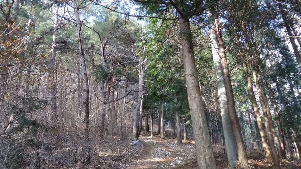 100대 명산 등산하기 열한번째 고창 방장산 서해안과 고창 평야를 한눈에 바라볼 수 있는 탁 트인 조망을 갖추고 있는 산