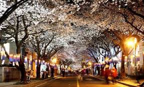 4월 제주도 가볼만한 곳 10곳