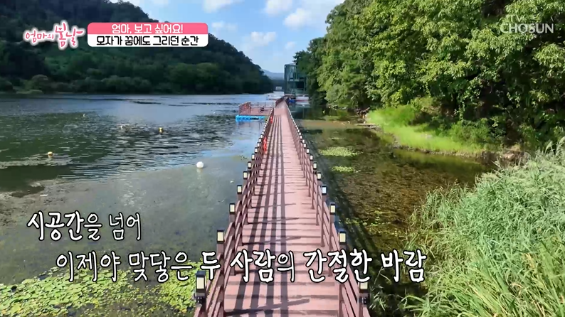 엄마의 봄날 472회
TV 조선 240929 방송 다시 보기