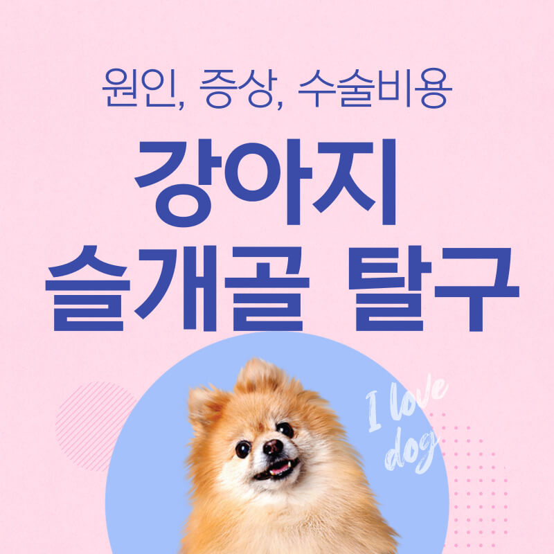 강아지슬개골탈구