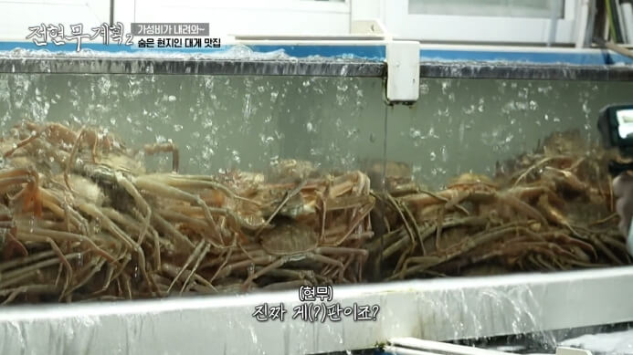 전현무계획2-숨은-현지인-대게-맛집