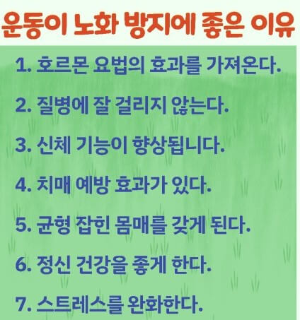 운동의 효과