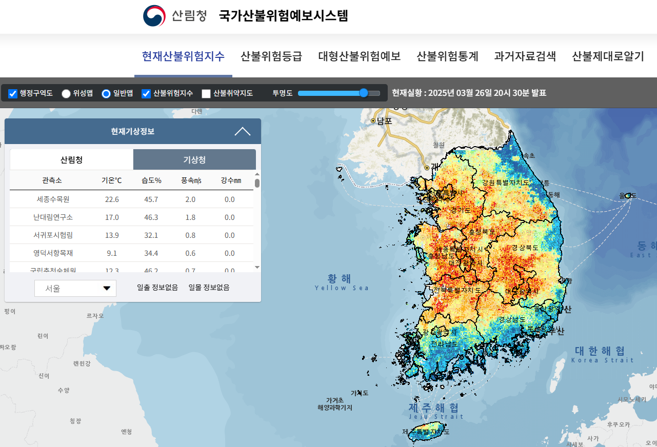 산불 현황