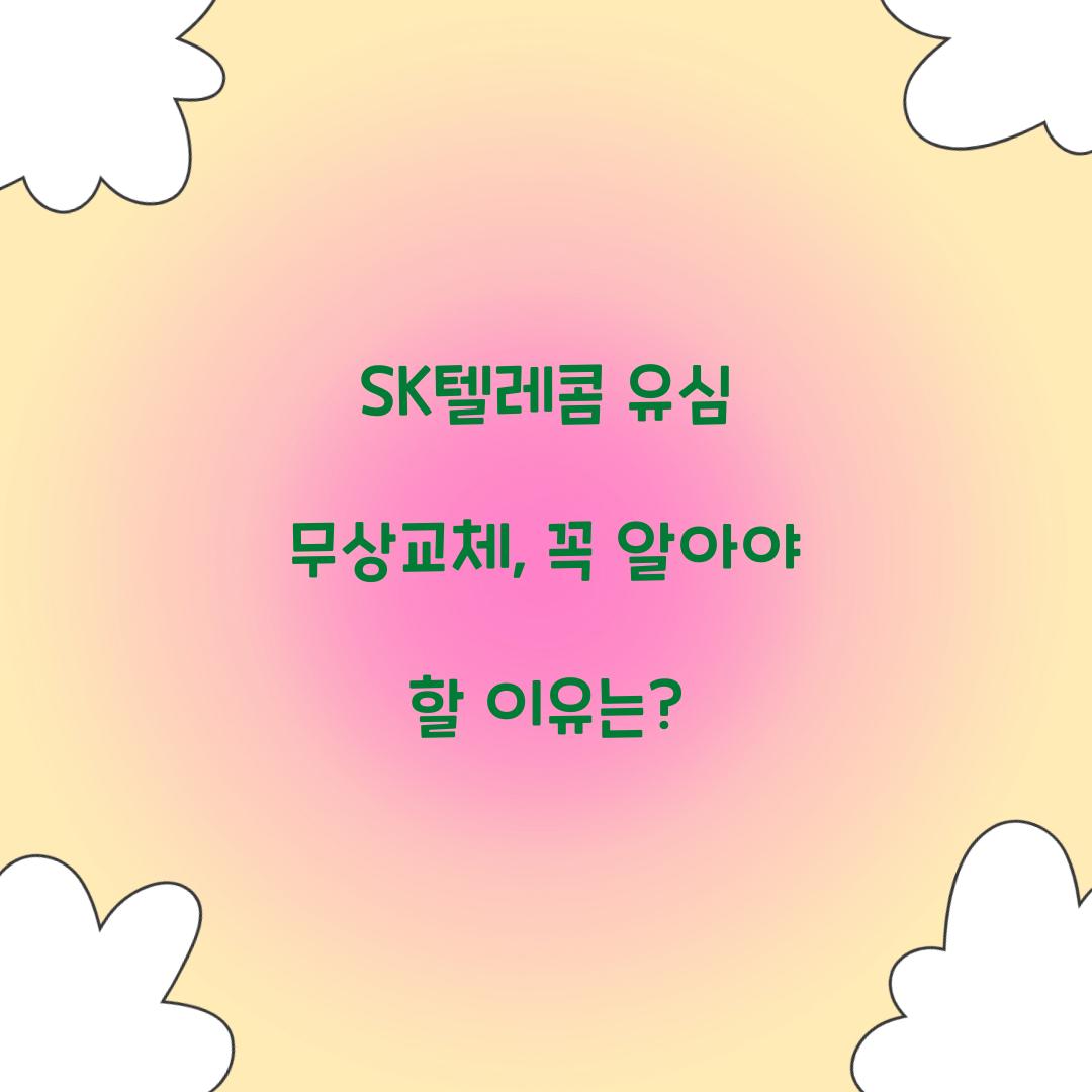 sk텔레콤 유심 무상교체
