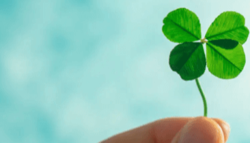 다음 영구중지 영구정지 영구제한