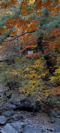 숲나들e 강화 자연휴양림 국내 여행지 추천 관련사진