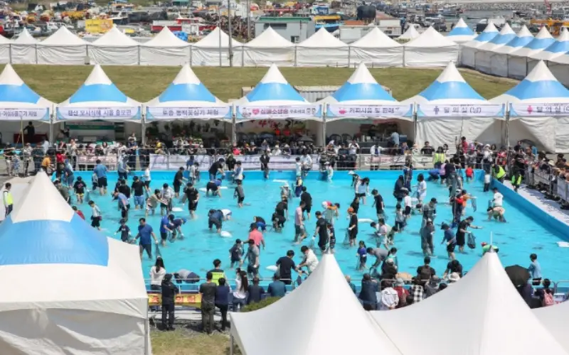 서천 자연산 광어 도미축제_17