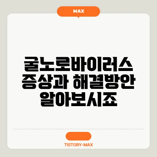 굴노로바이러스 증상과 해결방안 알아보시죠