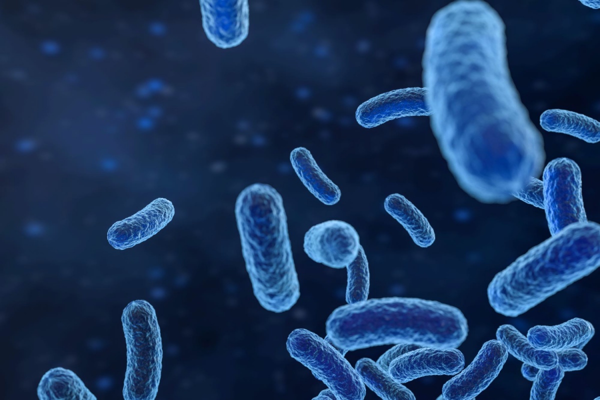 유산균