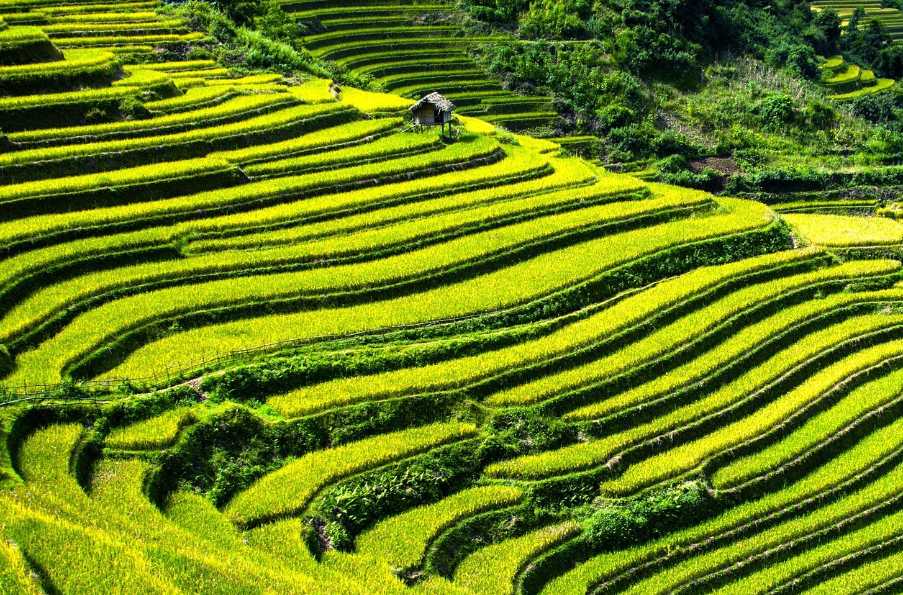 그린 테크의 부상: 지속 가능한 기술이 만드는 새로운 경제