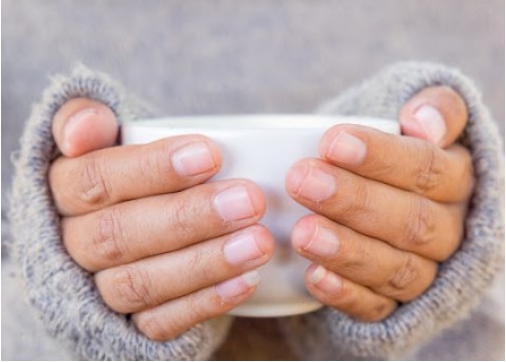 수족냉증에 좋은 음식