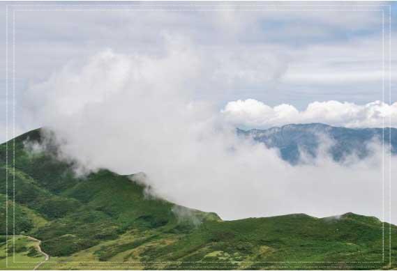 동백패스 환급금