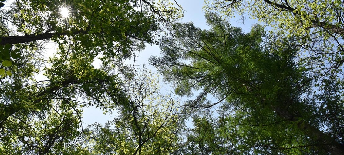 쉬자파크치유의길