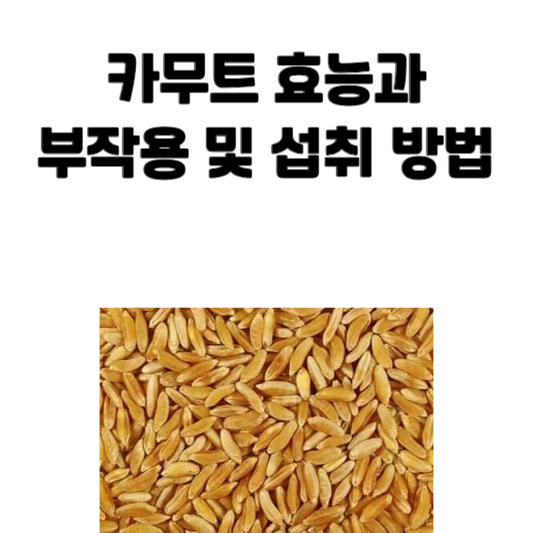 카무트 효능과 부작용 및 섭취 방법