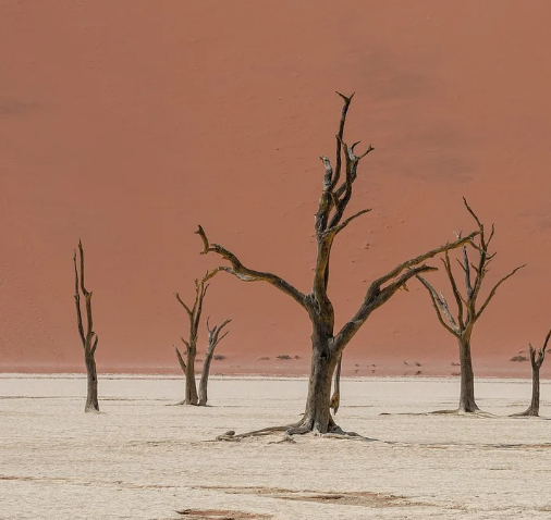 서울시 중랑구&amp;#44; 중구&amp;#44; 용산구&amp;#44; 동작구&amp;#44; 영등포구 무더위 쉼터