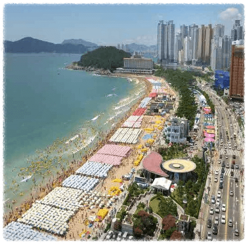 2024 부산 해수욕장 개장일 [추천]