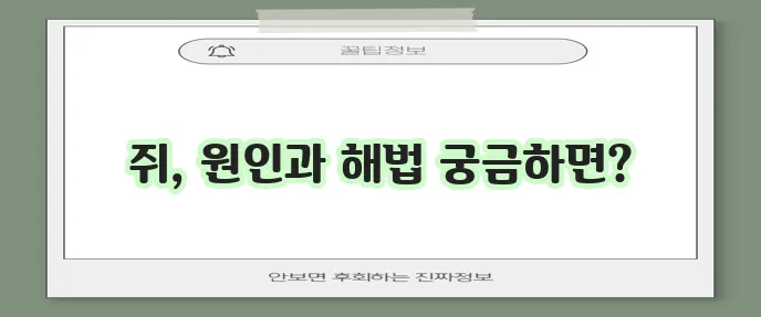 다리에 쥐가 자주 나는 이유와 푸는 방법 꼭 알아두세요!