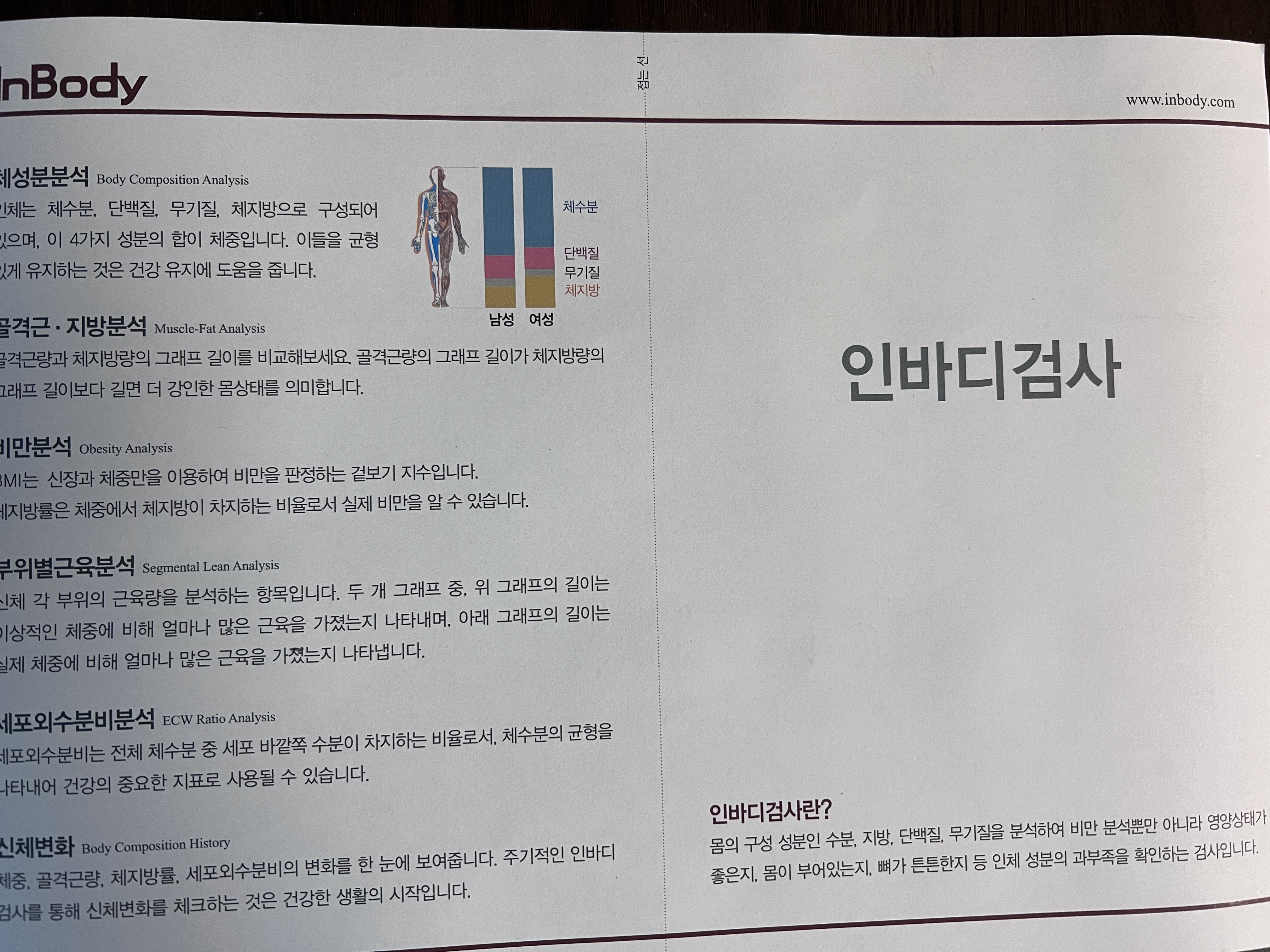 보건소 대사증후군 인바디 검사