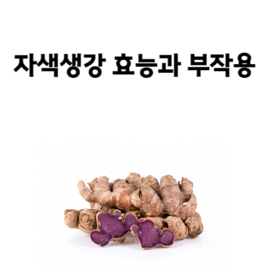 자색생강 효능과 부작용