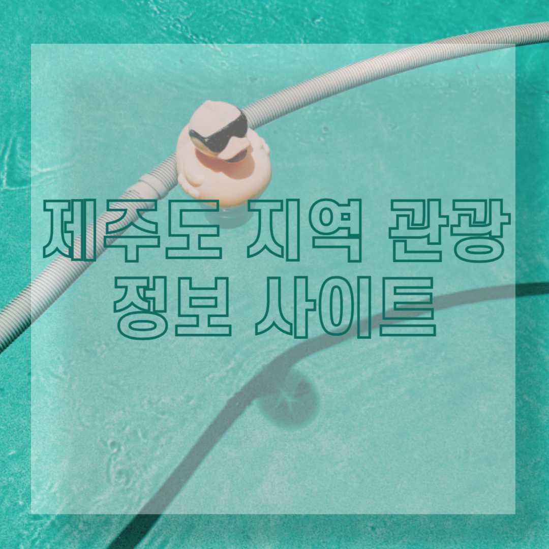 제주도 지역 관광 정보 사이트 BEST 3