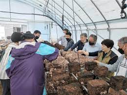 임업경영체 등록조건