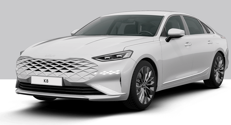 스노우 화이트 펄(색상 코드 : SWP)