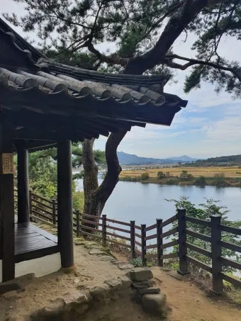 상주 가볼만한곳 맛집 추천 카페 겨울 베스트 10_16