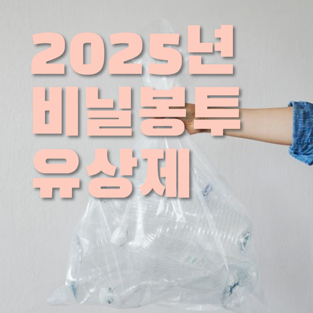 2025년 비닐봉투 유상제