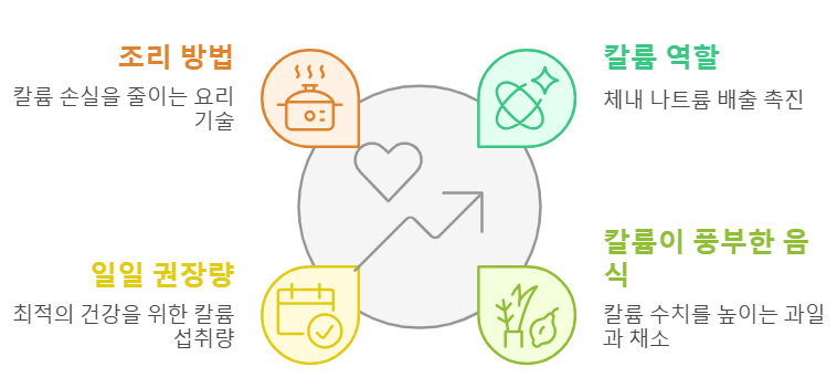 칼륨 섭취 필요성