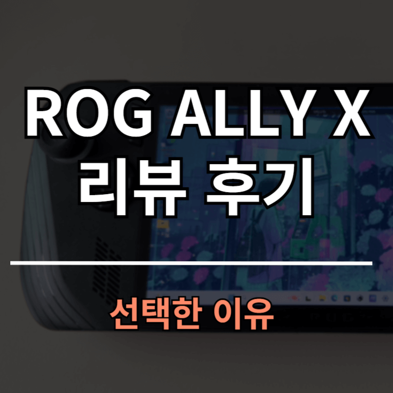 ROG ALLY X(로갈리X) 후기 리뷰