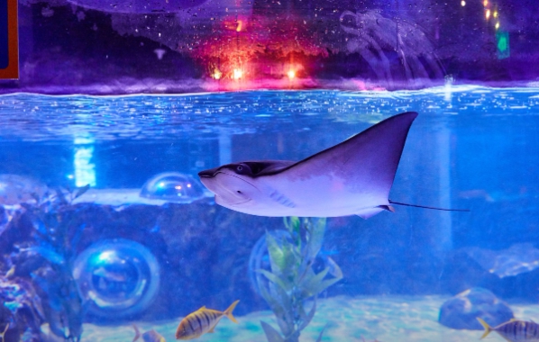 부산 아이와 놀러 갈만한 곳