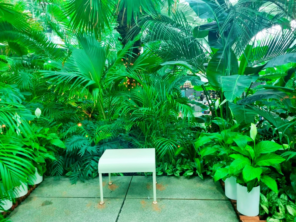 팔방미인 파주 문지리 535 카페 매력 포인트: 드넓은 논밭 뷰와 초록을 담은 실내 식물원 