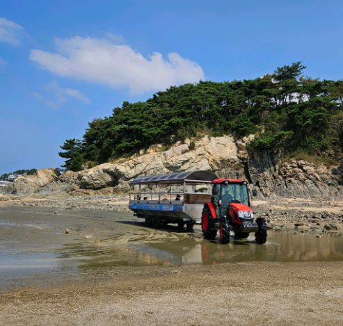사메기 갯벌체험장