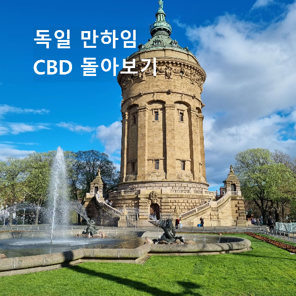 독일 만하임 CBD 돌아보기