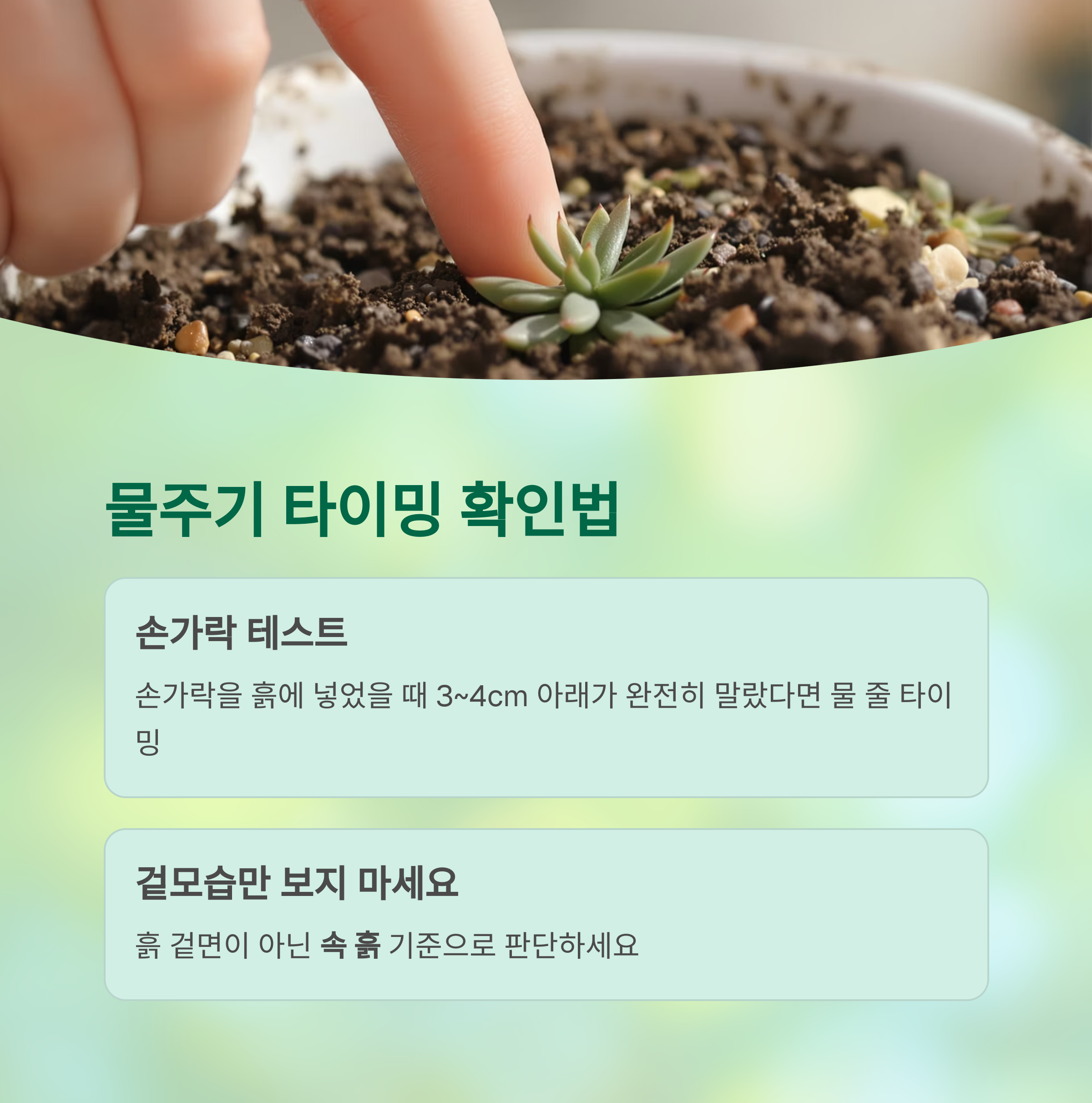 물주기 타이밍 확인법