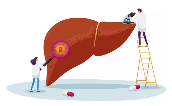 B형 간염의 합병증