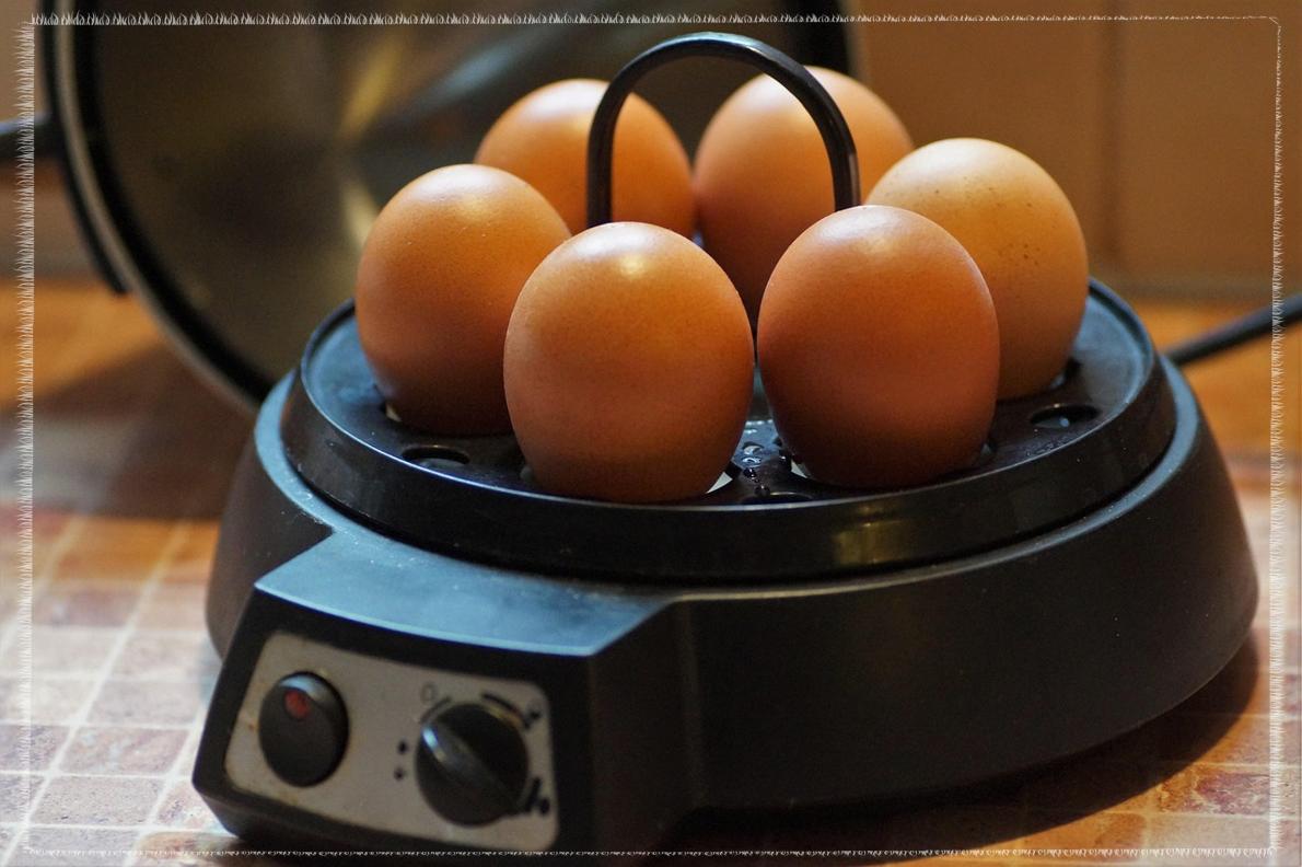 [다이어트 식단 공개] 최희&amp;#44; 출산 후 20kg 감량 비결은? 삶은 달걀&amp;#44; 블루베리&amp;#44; 사과 &amp;#39;완벽 조합&amp;#39; 아침 식단