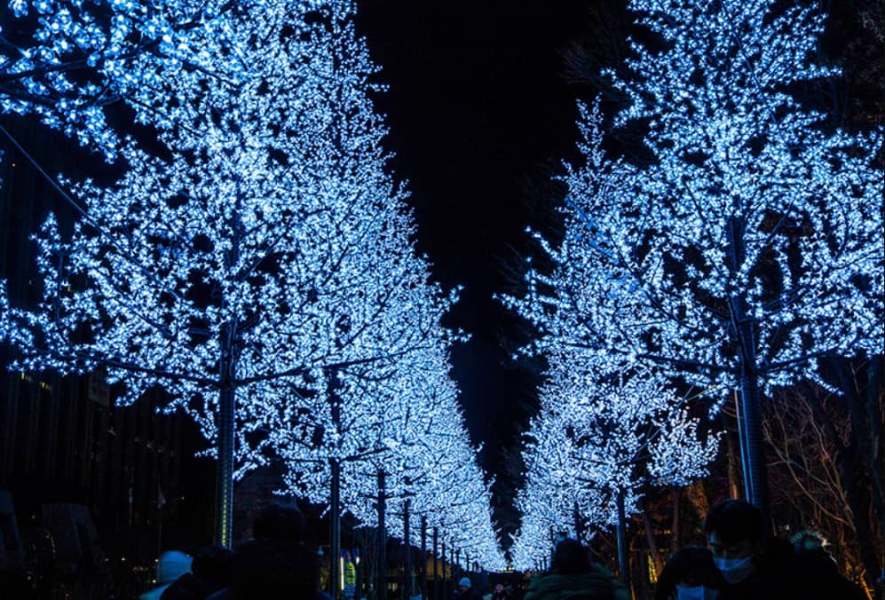 서울-빛초롱-축제-전경