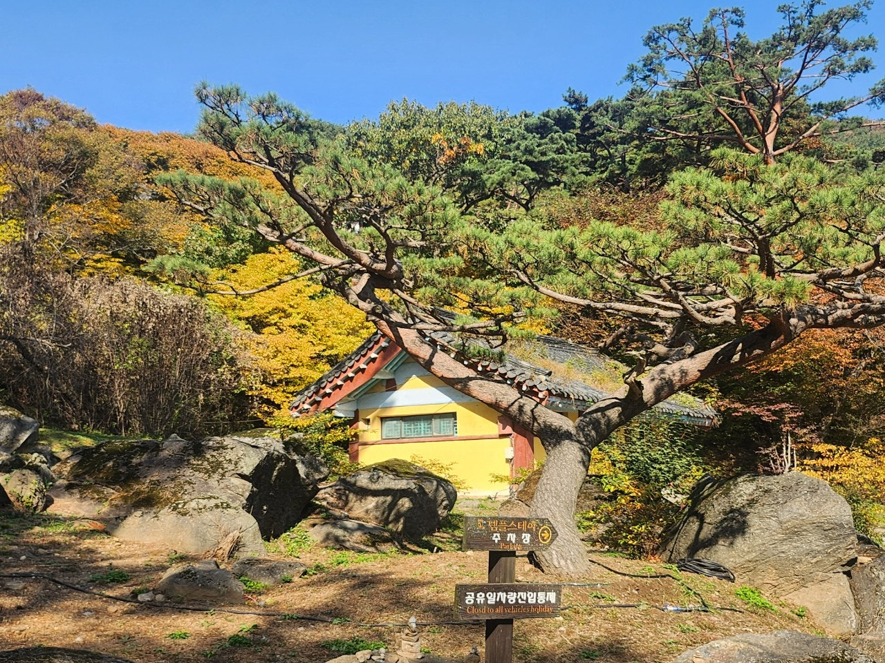 전등사
