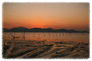 화포해변