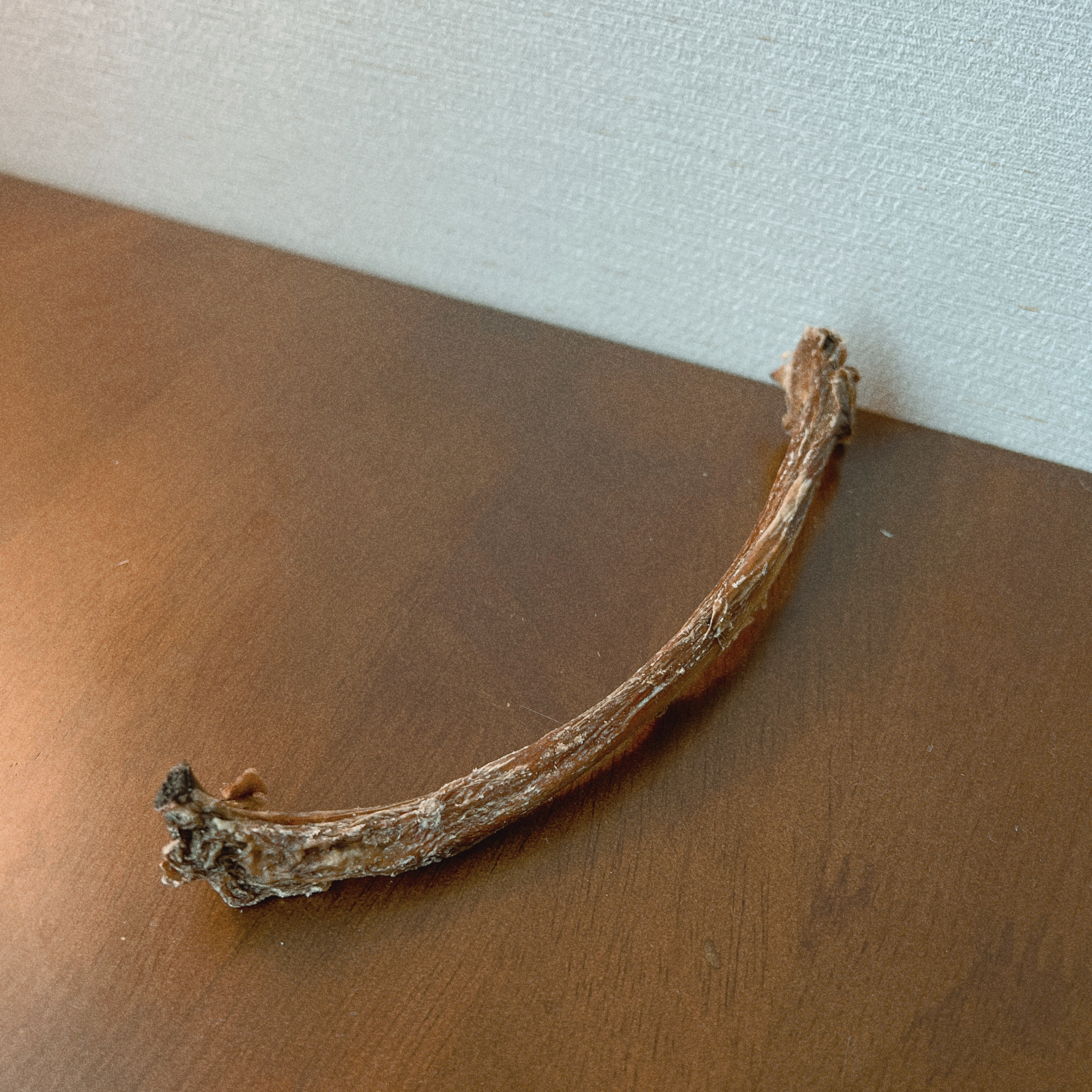 zeal pet food 뉴질랜드 천연 수제간식 ZEAL 송아지갈비뼈